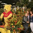 Foto’s openingsavond live Tijdens de openingsavond heeft Studio Ronkes uit Katwijk vele foto’s gemaakt bij...