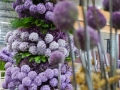 dsc03342.jpg