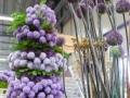 dsc03343.jpg