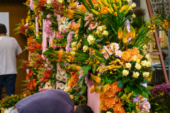DSC04332
